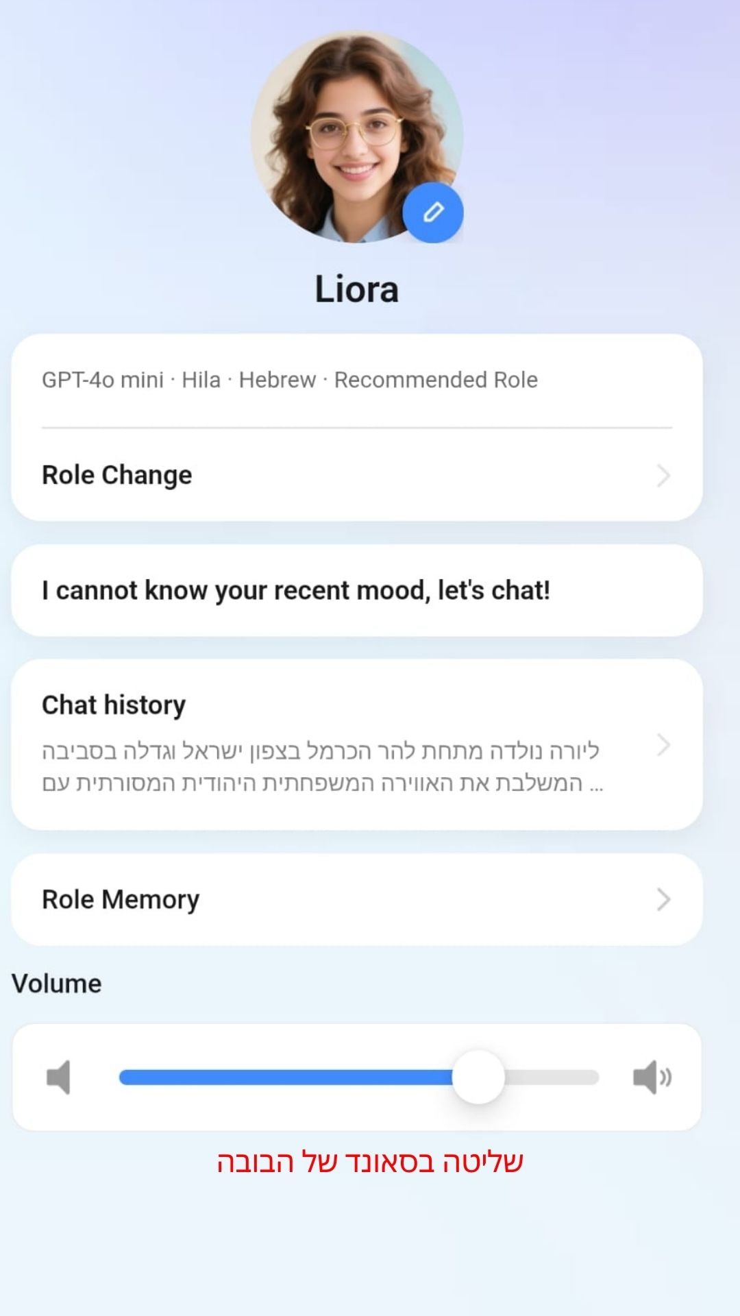 שלב 17